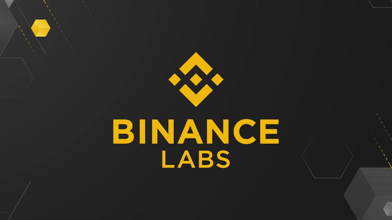 Binance ve Binance Labs Arasındaki Bağlar Koptu