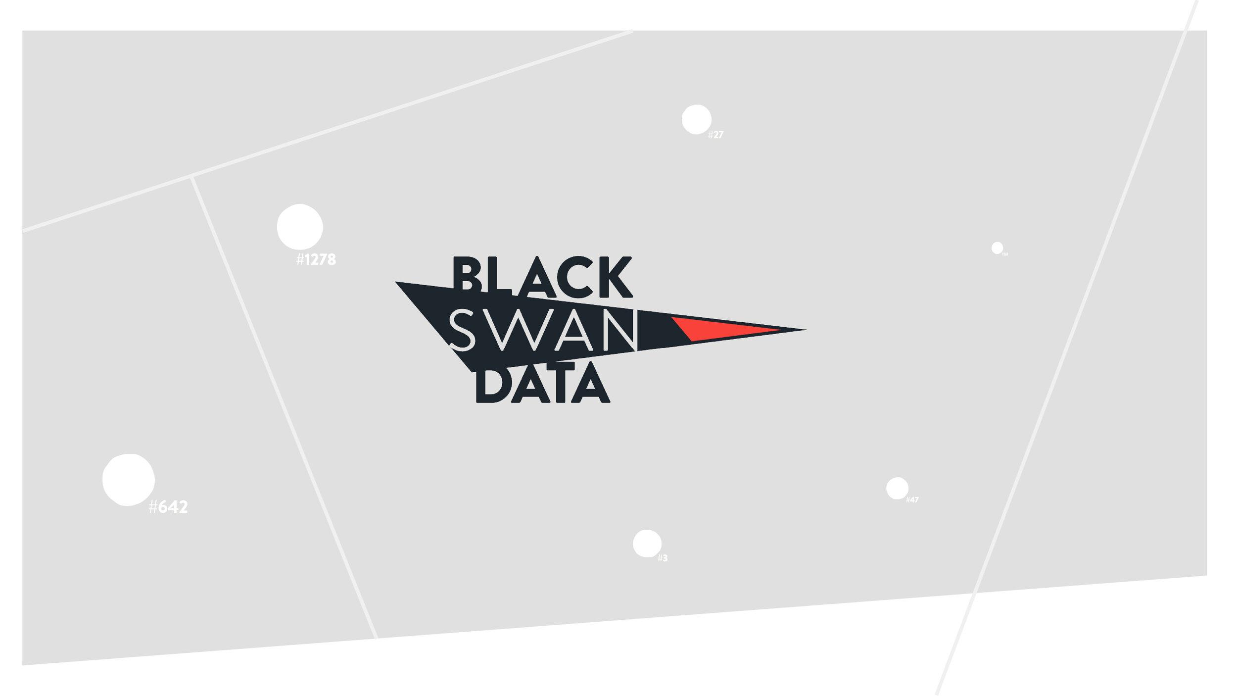 Black Swan Data Tüketici Araştırmaları için 18,5 Milyon Dolar Yatırım Aldı