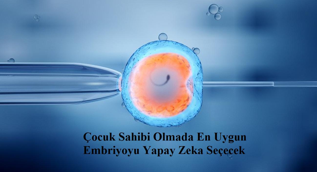 Çocuk Sahibi Olmak İsteyenler İçin En Uygun Embriyoyu Yapay Zeka Seçecek