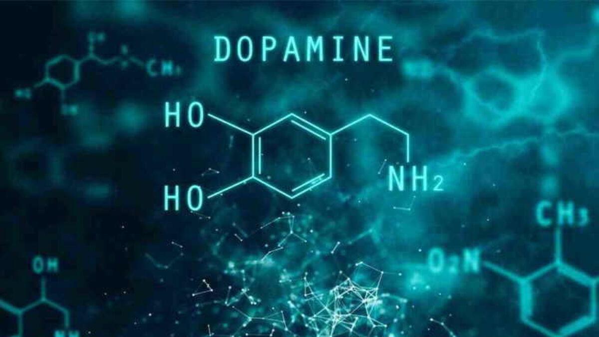 Dopamin, Nöronların Ne Zaman Harekete Geçeceğini Tahmin Ediyor