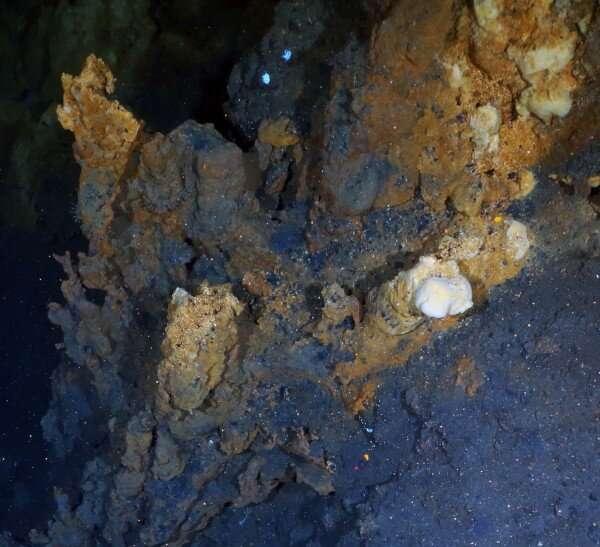 Hydrothermal Vent Field Could Help Search for Extraterrestrial Life