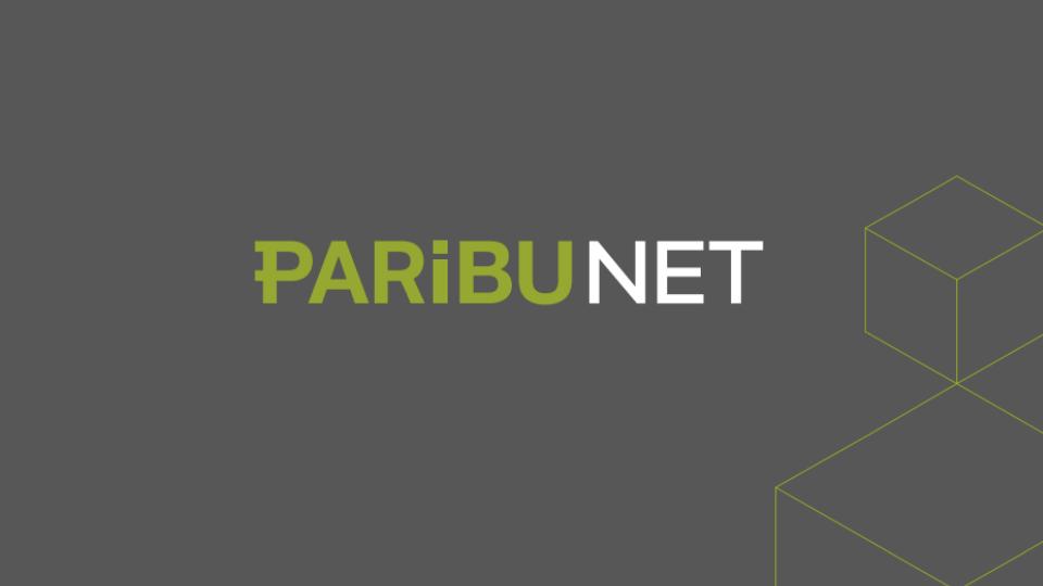 Paribu'dan Yeni Blockchain Ağı: Paribu Net