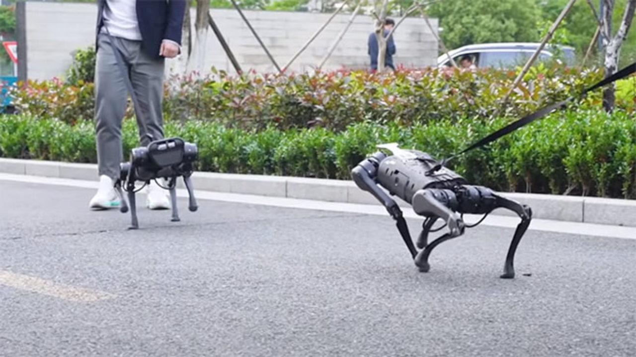 Pet Robot Dogs Aren't Looking For The Truth!