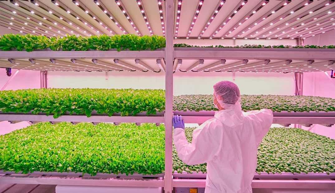 Planet Farms Received Investment