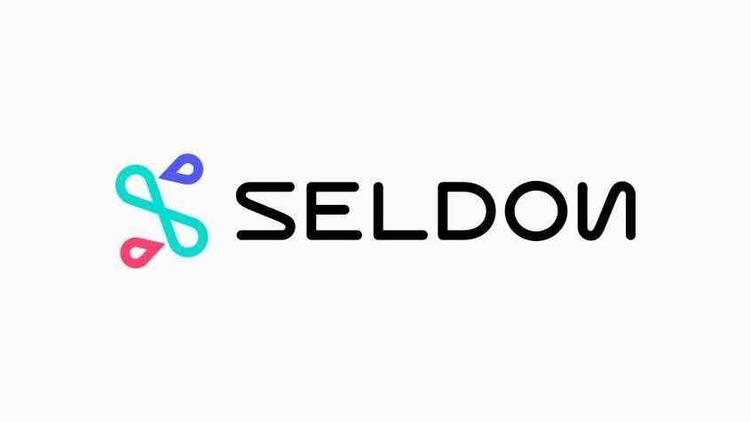 Seldon, 20 Milyon Dolar Yatırım Aldı