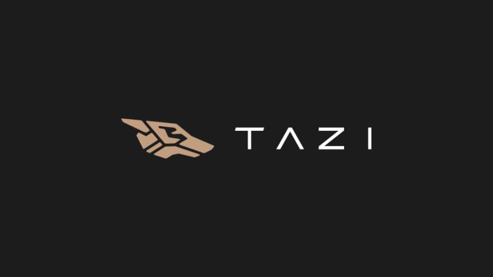 TAZI.AI 4.6 Milyon Dolar Değerinde Tohum Yatırımı Aldı