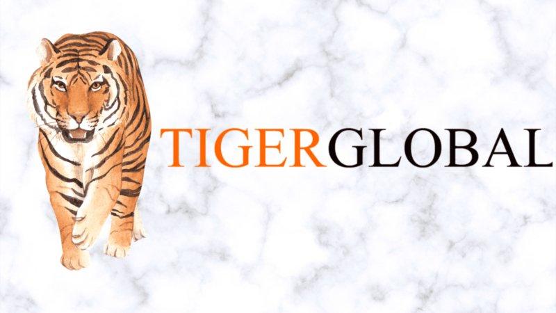 Tiger Global 17 Milyar Dolar Zarar Etti