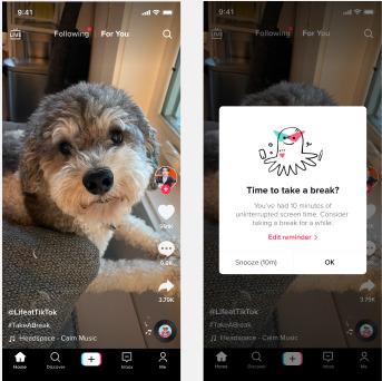 TikTok Ekran Süresi Yönetimi İçin Yeniliklerini Duyurdu