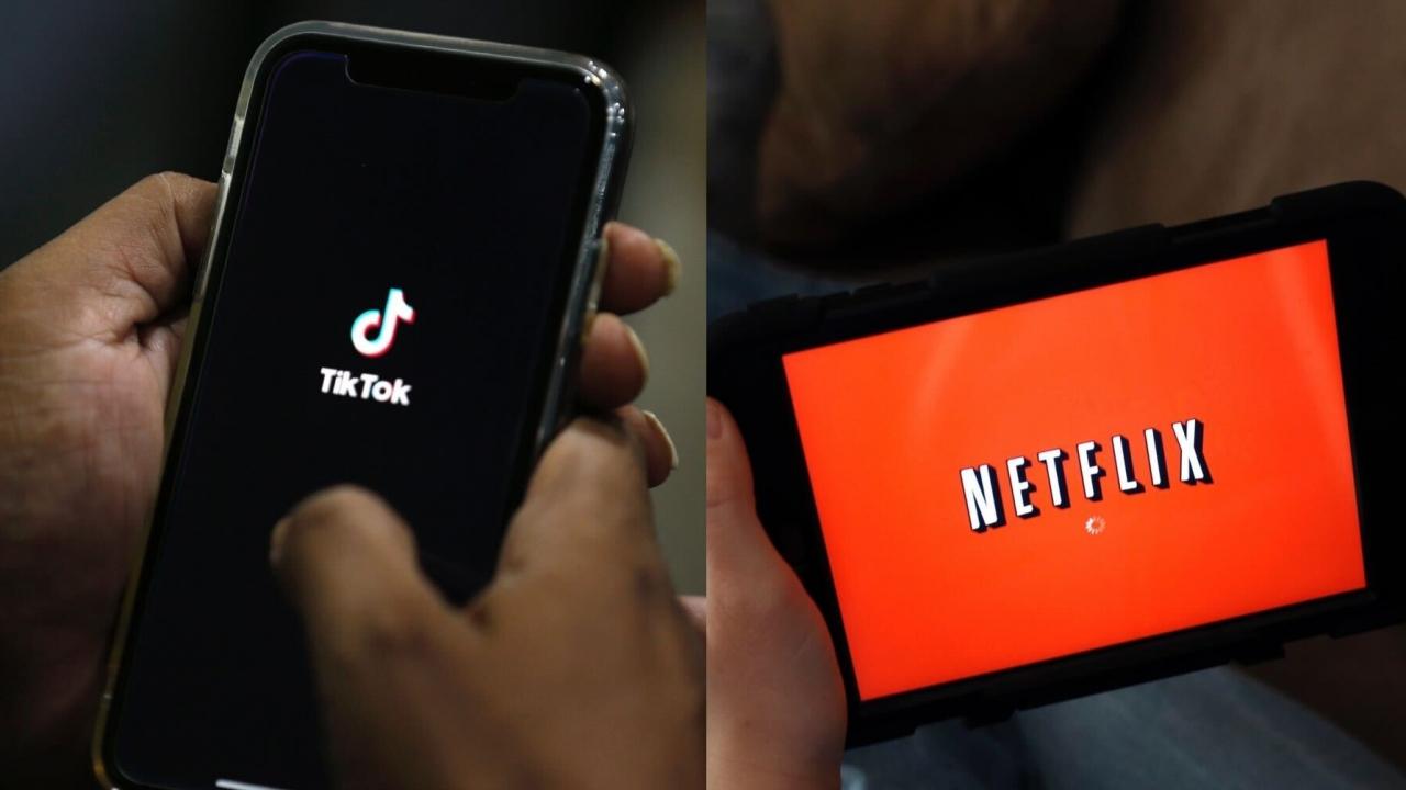 TikTok ve Netflix’ten Flaş Rusya Kararı