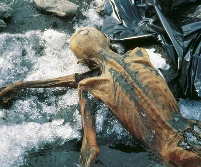 Ünlü 5000 Yıllık Mumya Ötzi ile İlgili Şok Detaylar!